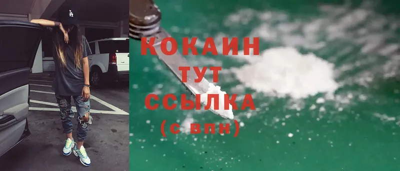 где купить   Бородино  Cocaine VHQ 